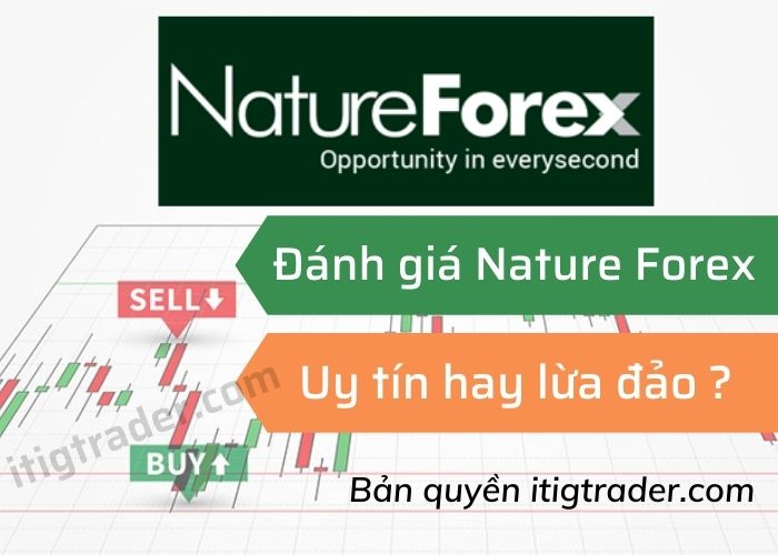 Đánh giá Nature Forex về độ uy tín