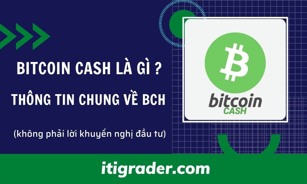 Bitcoin Cash là gì? Thông tin chung về BCH