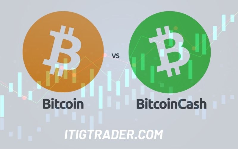 Điểm khác nhau giữa Bitcoin Cash và Bitcoin
