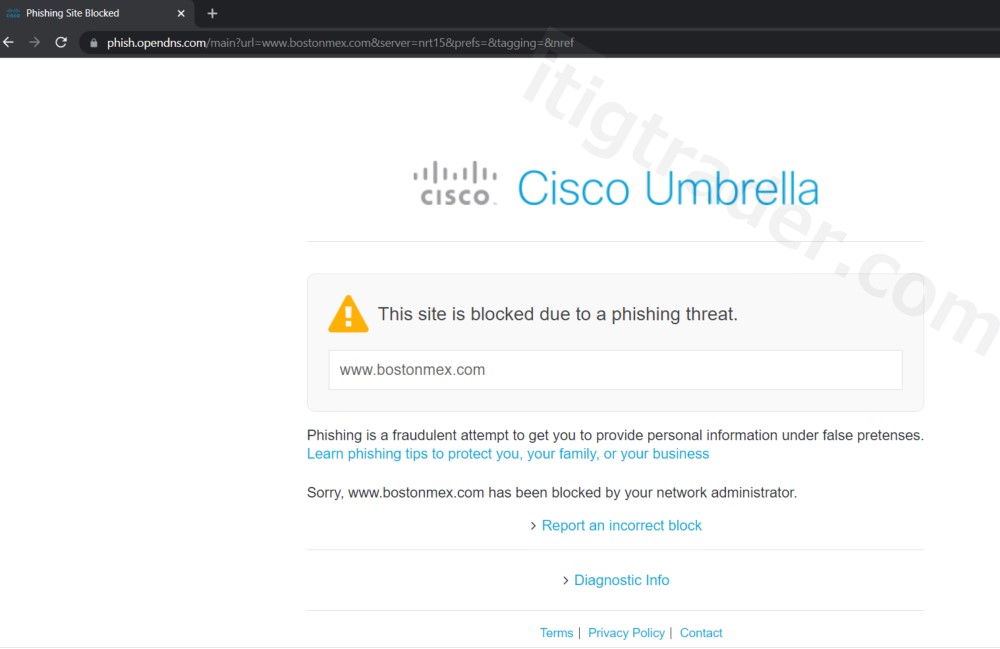 website của Bostonmex bị chặn bởi Cisco Umbrella